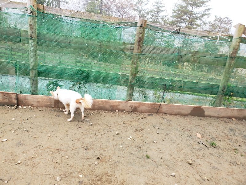 f:id:roukenhome-ann:20191223055538j:plain f:id:roukenhome-ann:20191223055538j:plain