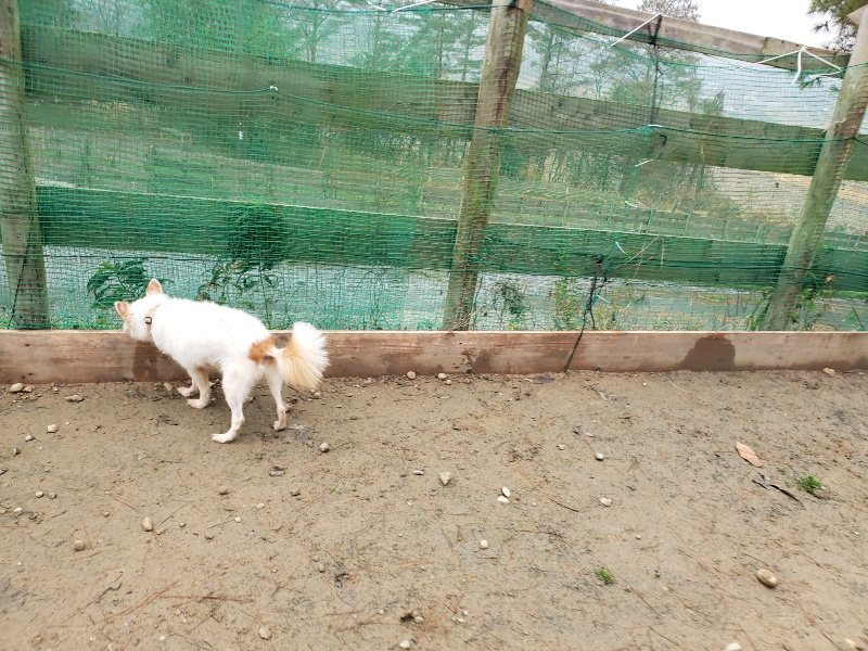 f:id:roukenhome-ann:20191223055548j:plain f:id:roukenhome-ann:20191223055548j:plain