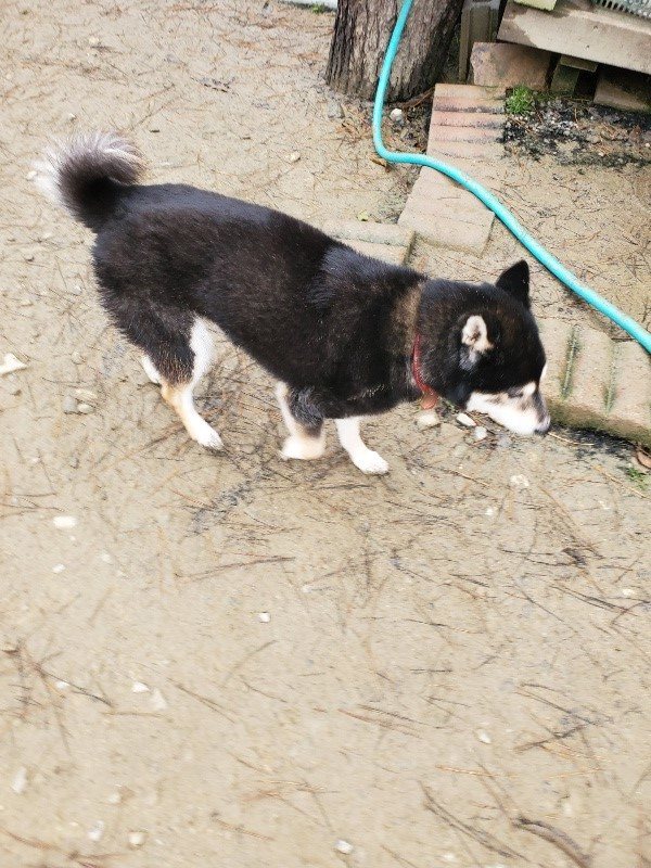 f:id:roukenhome-ann:20191223055556j:plain f:id:roukenhome-ann:20191223055556j:plain