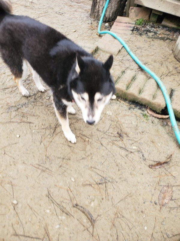 f:id:roukenhome-ann:20191223055606j:plain f:id:roukenhome-ann:20191223055606j:plain