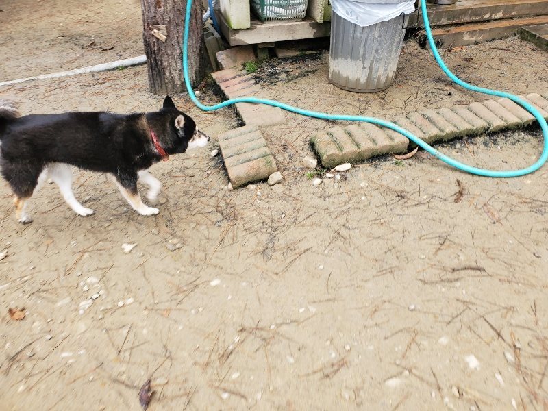 f:id:roukenhome-ann:20191223055615j:plain f:id:roukenhome-ann:20191223055615j:plain
