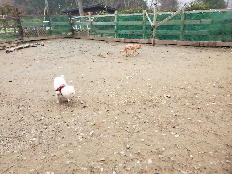 f:id:roukenhome-ann:20191223055624j:plain f:id:roukenhome-ann:20191223055624j:plain