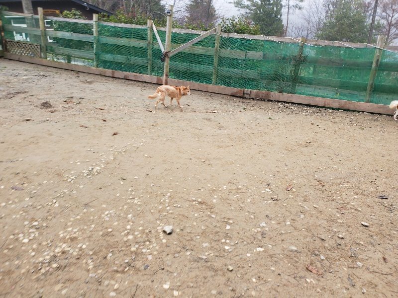 f:id:roukenhome-ann:20191223055630j:plain f:id:roukenhome-ann:20191223055630j:plain