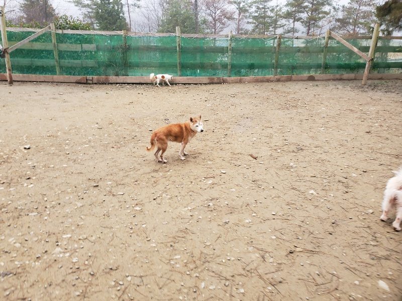 f:id:roukenhome-ann:20191223055637j:plain f:id:roukenhome-ann:20191223055637j:plain