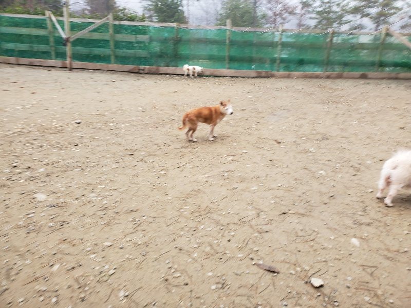 f:id:roukenhome-ann:20191223055648j:plain f:id:roukenhome-ann:20191223055648j:plain