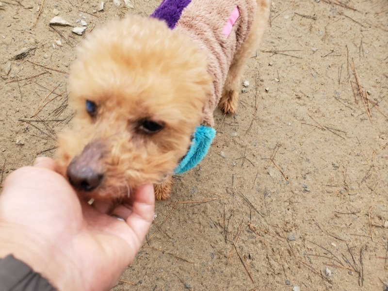 f:id:roukenhome-ann:20191223055656j:plain f:id:roukenhome-ann:20191223055656j:plain
