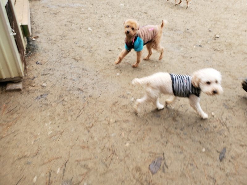 f:id:roukenhome-ann:20191223055702j:plain f:id:roukenhome-ann:20191223055702j:plain