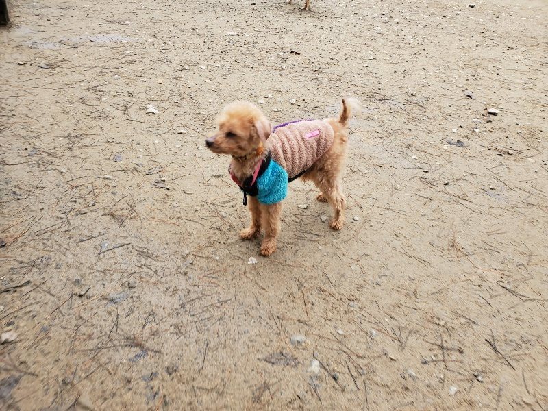 f:id:roukenhome-ann:20191223055712j:plain f:id:roukenhome-ann:20191223055712j:plain