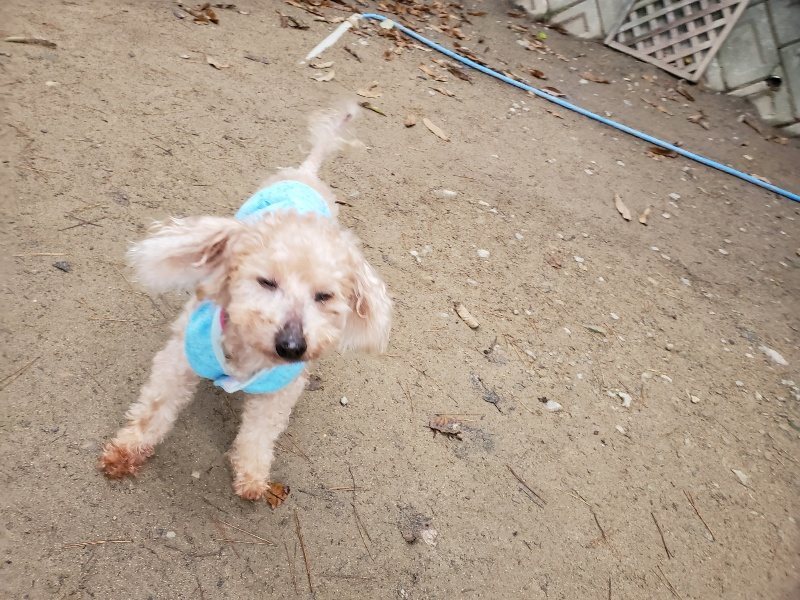f:id:roukenhome-ann:20191223055732j:plain f:id:roukenhome-ann:20191223055732j:plain