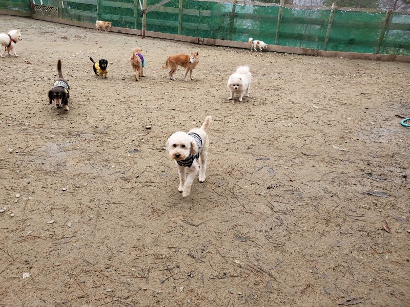 f:id:roukenhome-ann:20191223055820j:plain f:id:roukenhome-ann:20191223055820j:plain