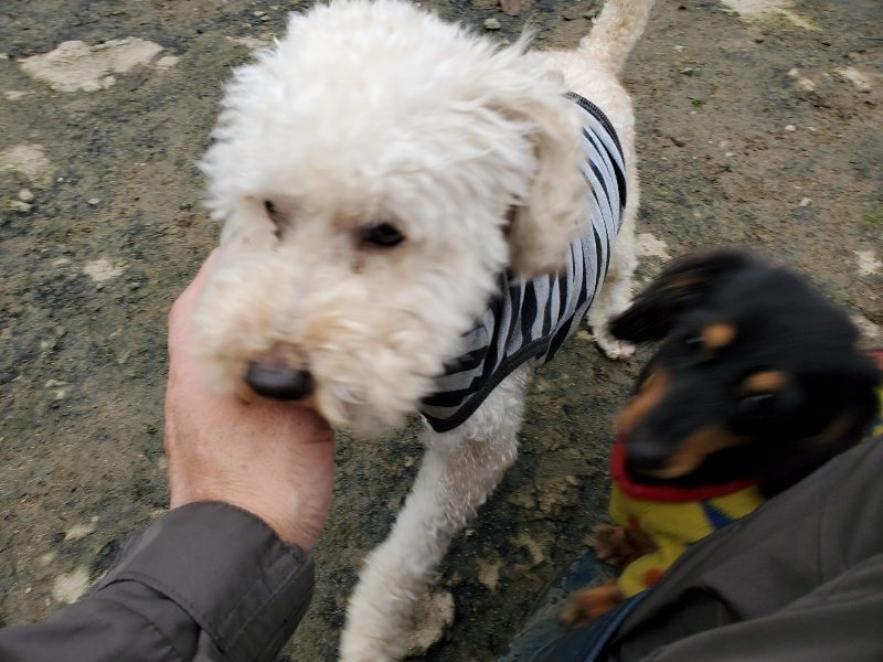 f:id:roukenhome-ann:20191223071051j:plain f:id:roukenhome-ann:20191223071051j:plain