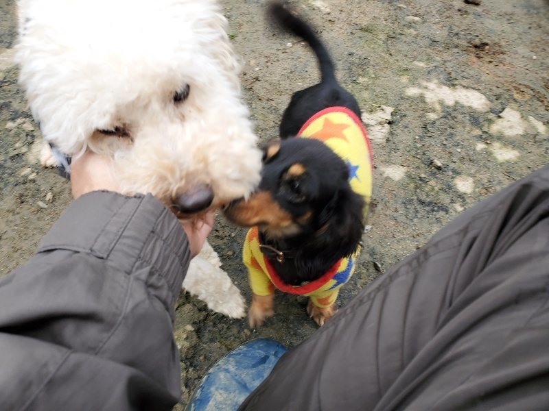 f:id:roukenhome-ann:20191223071114j:plain f:id:roukenhome-ann:20191223071114j:plain