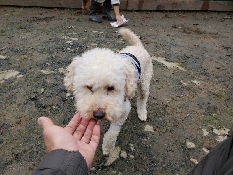 f:id:roukenhome-ann:20191223071120j:plain f:id:roukenhome-ann:20191223071120j:plain