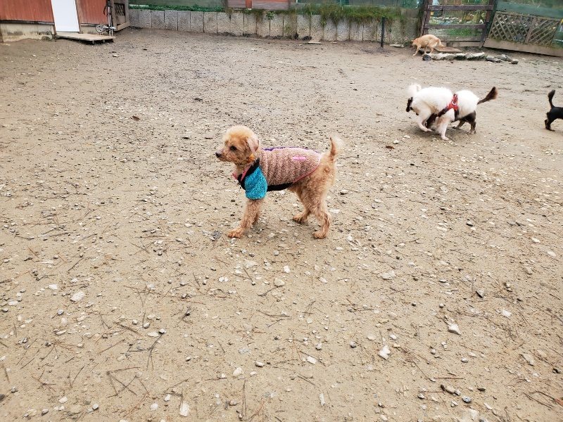 f:id:roukenhome-ann:20191223071142j:plain f:id:roukenhome-ann:20191223071142j:plain