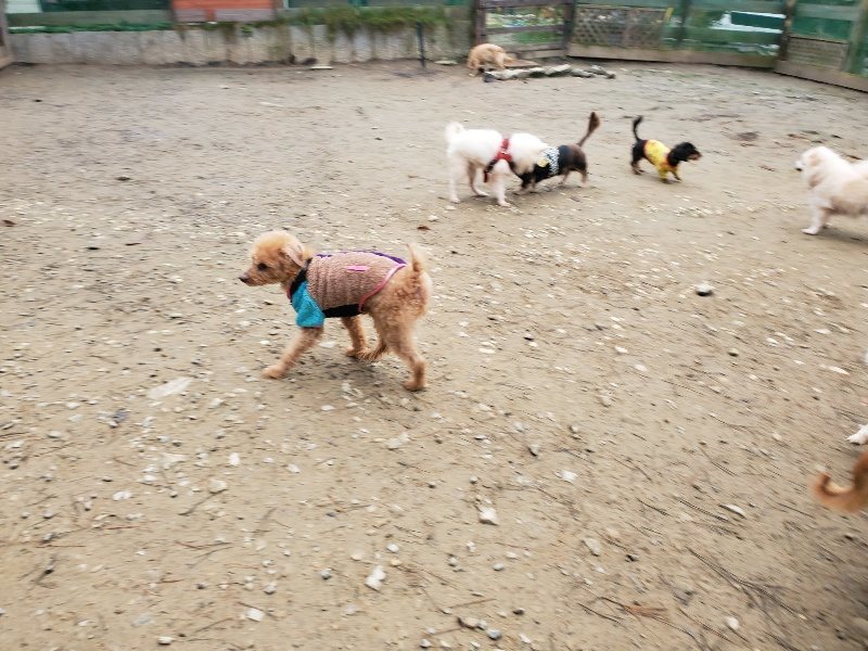 f:id:roukenhome-ann:20191223071158j:plain f:id:roukenhome-ann:20191223071158j:plain