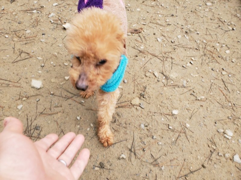 f:id:roukenhome-ann:20191223071222j:plain f:id:roukenhome-ann:20191223071222j:plain