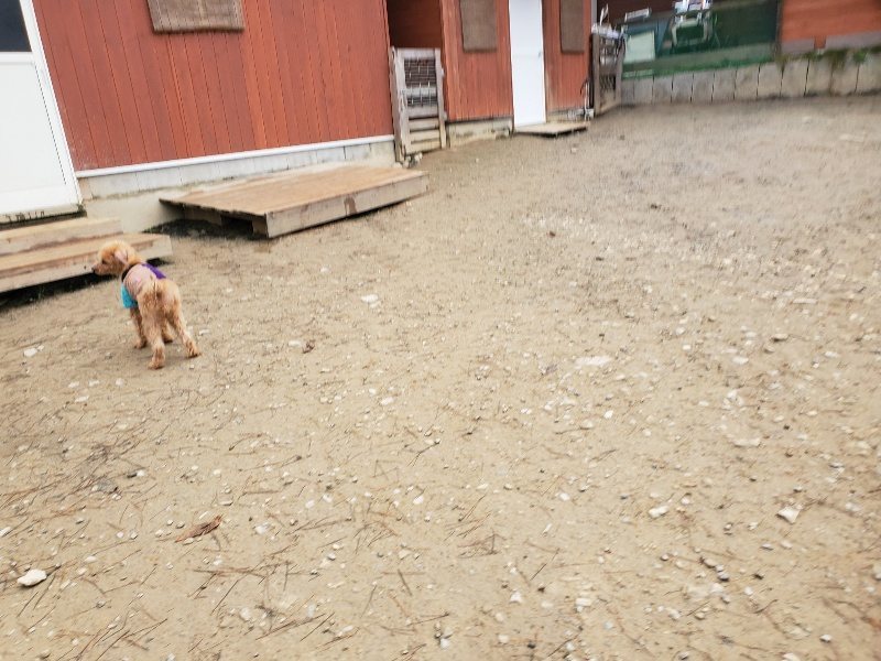 f:id:roukenhome-ann:20191223071228j:plain f:id:roukenhome-ann:20191223071228j:plain