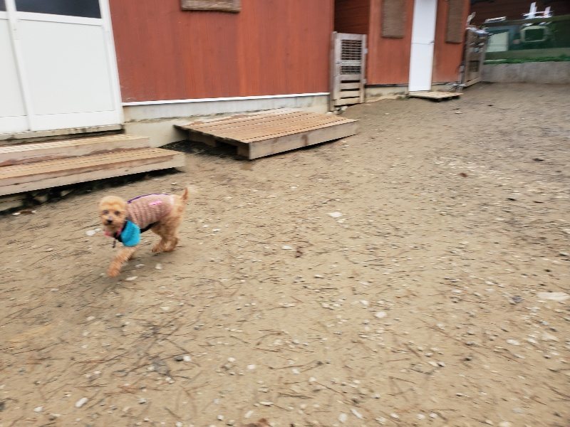f:id:roukenhome-ann:20191223071237j:plain f:id:roukenhome-ann:20191223071237j:plain