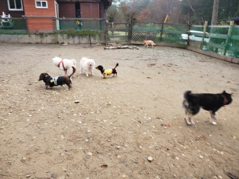 f:id:roukenhome-ann:20191223071244j:plain f:id:roukenhome-ann:20191223071244j:plain