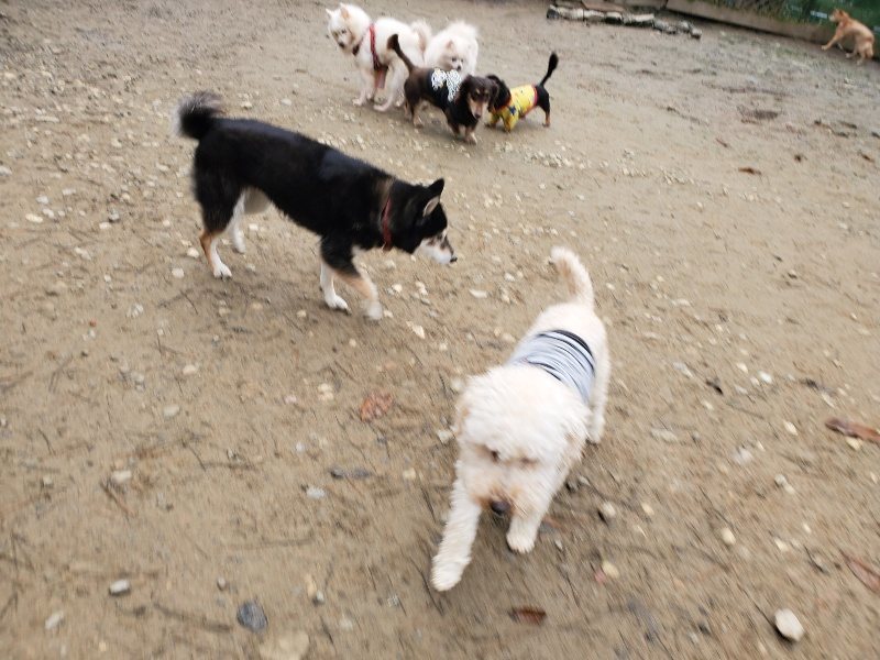 f:id:roukenhome-ann:20191223071254j:plain f:id:roukenhome-ann:20191223071254j:plain
