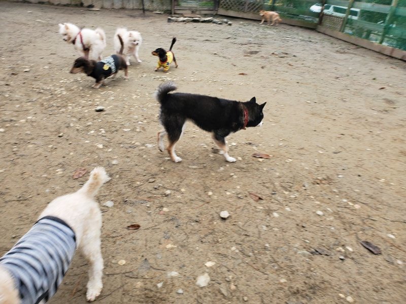 f:id:roukenhome-ann:20191223071302j:plain f:id:roukenhome-ann:20191223071302j:plain
