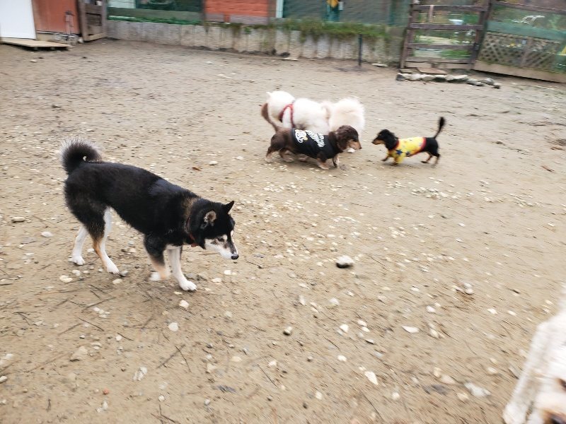 f:id:roukenhome-ann:20191223071311j:plain f:id:roukenhome-ann:20191223071311j:plain