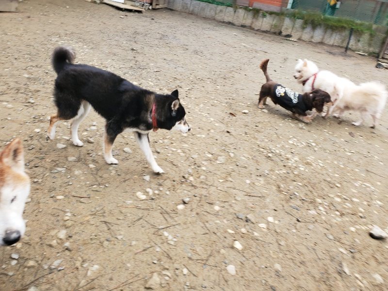 f:id:roukenhome-ann:20191223071335j:plain f:id:roukenhome-ann:20191223071335j:plain