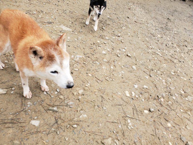 f:id:roukenhome-ann:20191223071345j:plain f:id:roukenhome-ann:20191223071345j:plain