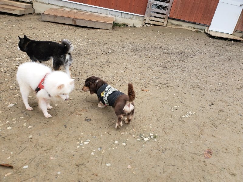 f:id:roukenhome-ann:20191223071424j:plain f:id:roukenhome-ann:20191223071424j:plain