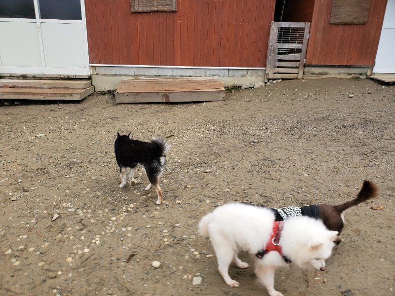 f:id:roukenhome-ann:20191223071432j:plain f:id:roukenhome-ann:20191223071432j:plain