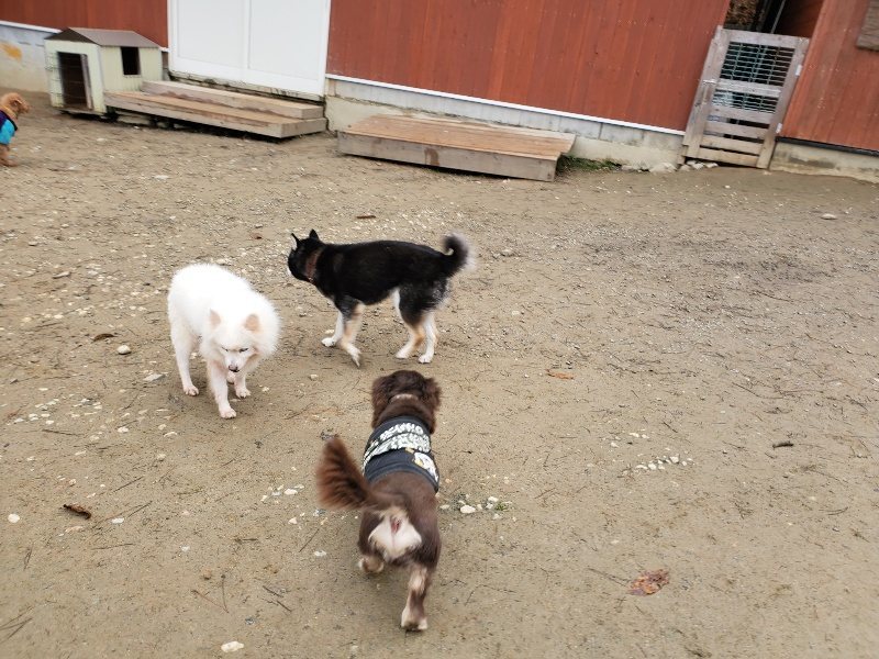 f:id:roukenhome-ann:20191223071447j:plain f:id:roukenhome-ann:20191223071447j:plain