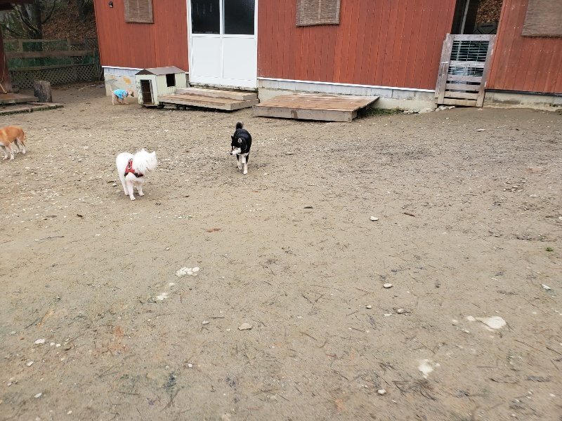 f:id:roukenhome-ann:20191223071455j:plain f:id:roukenhome-ann:20191223071455j:plain