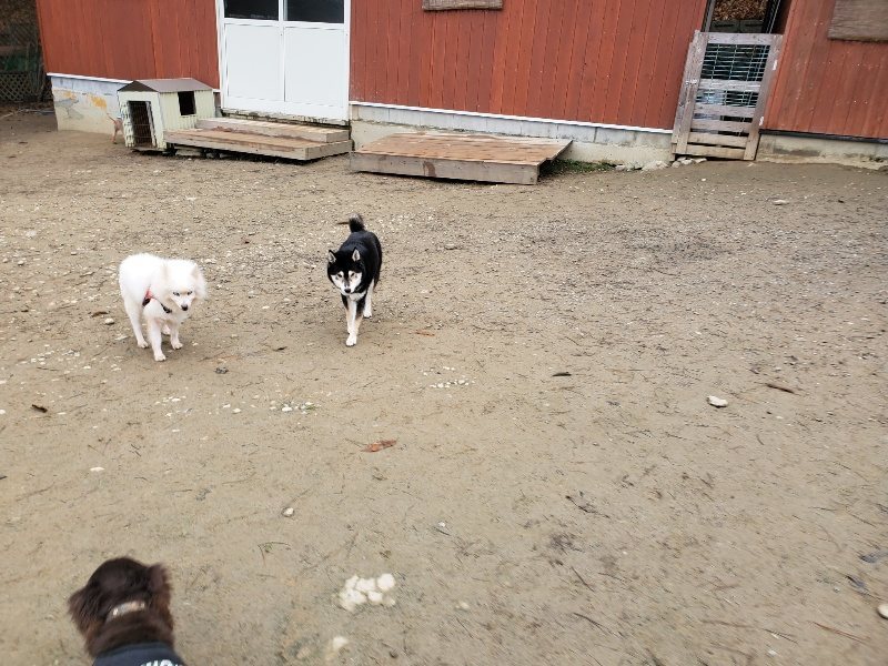 f:id:roukenhome-ann:20191223071504j:plain f:id:roukenhome-ann:20191223071504j:plain