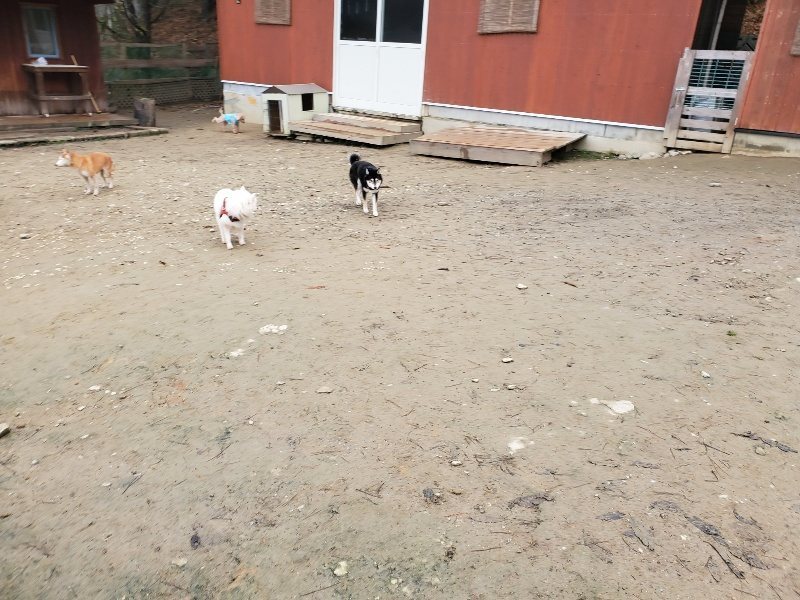 f:id:roukenhome-ann:20191223071513j:plain f:id:roukenhome-ann:20191223071513j:plain