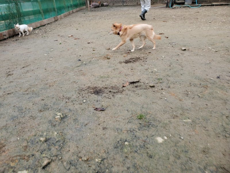 f:id:roukenhome-ann:20191223071523j:plain f:id:roukenhome-ann:20191223071523j:plain