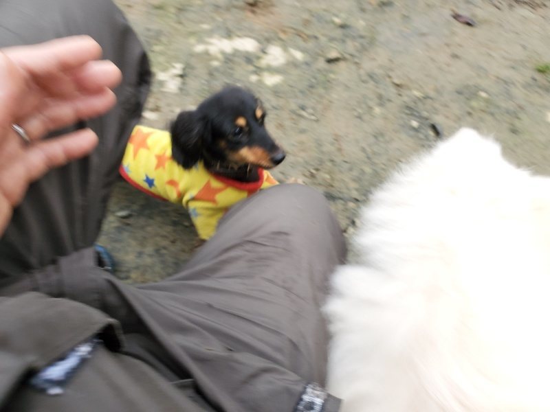 f:id:roukenhome-ann:20191223071528j:plain f:id:roukenhome-ann:20191223071528j:plain