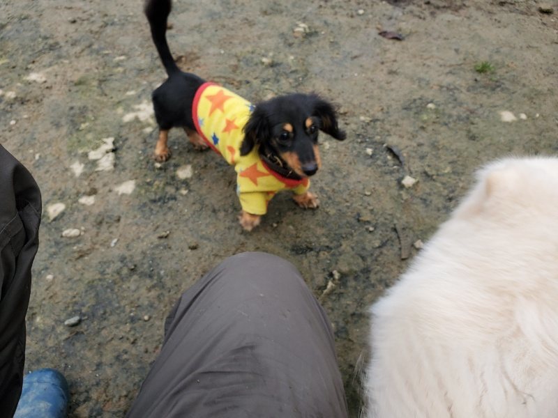 f:id:roukenhome-ann:20191223071535j:plain f:id:roukenhome-ann:20191223071535j:plain