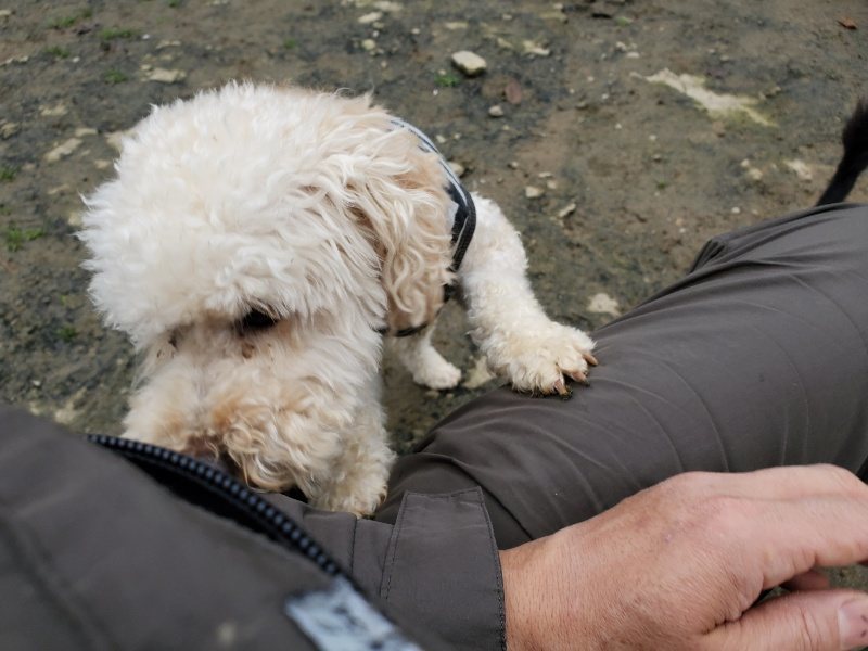 f:id:roukenhome-ann:20191223071541j:plain f:id:roukenhome-ann:20191223071541j:plain