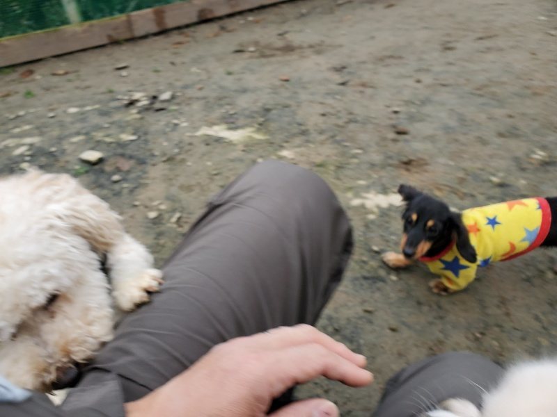f:id:roukenhome-ann:20191223071547j:plain f:id:roukenhome-ann:20191223071547j:plain