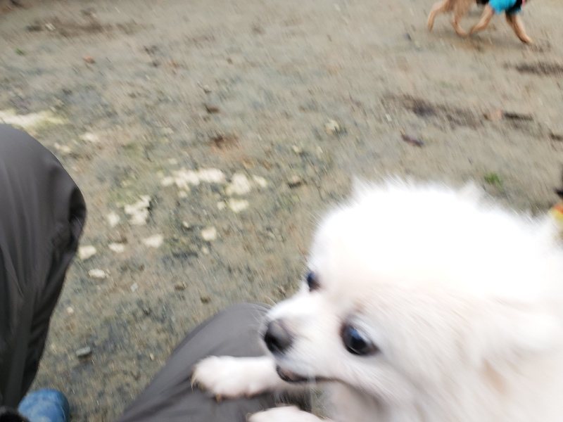 f:id:roukenhome-ann:20191223071554j:plain f:id:roukenhome-ann:20191223071554j:plain