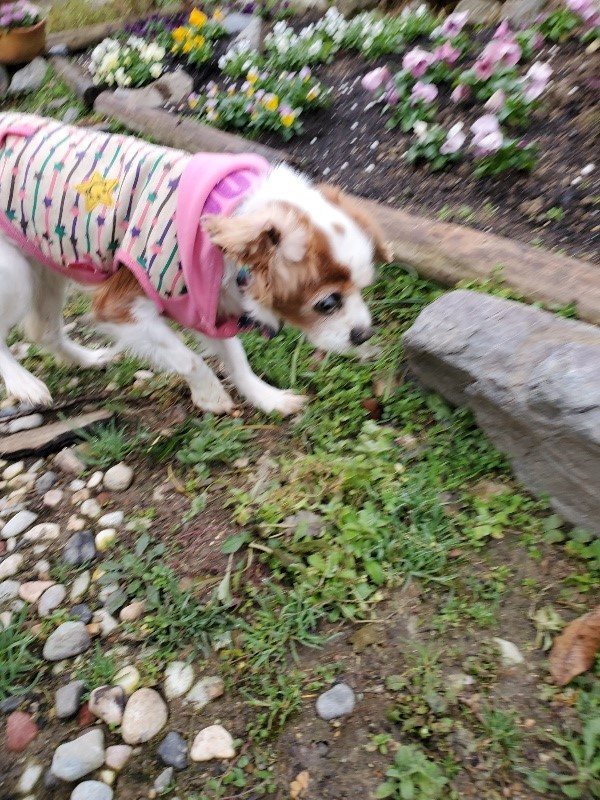 f:id:roukenhome-ann:20191223071739j:plain f:id:roukenhome-ann:20191223071739j:plain