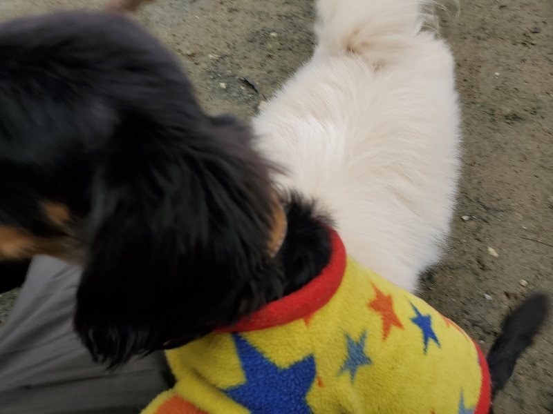 f:id:roukenhome-ann:20191223071808j:plain f:id:roukenhome-ann:20191223071808j:plain