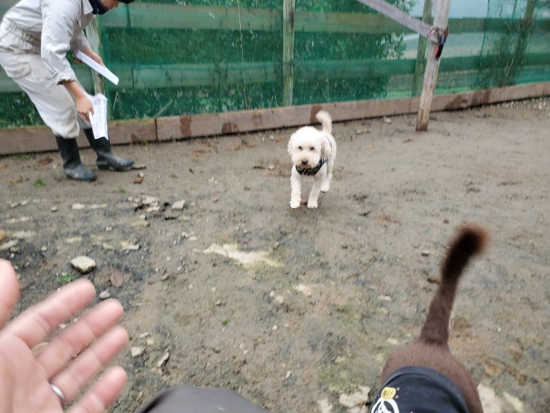 f:id:roukenhome-ann:20191223071815j:plain f:id:roukenhome-ann:20191223071815j:plain