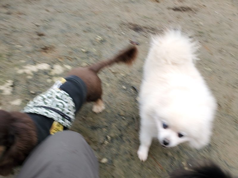 f:id:roukenhome-ann:20191223071820j:plain f:id:roukenhome-ann:20191223071820j:plain