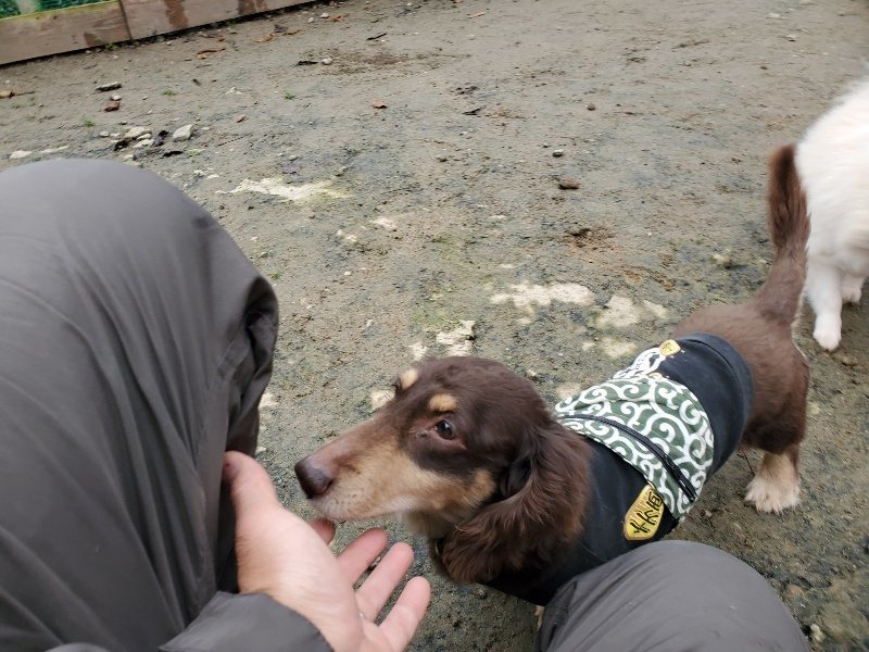 f:id:roukenhome-ann:20191223071827j:plain f:id:roukenhome-ann:20191223071827j:plain
