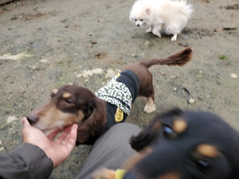 f:id:roukenhome-ann:20191223071835j:plain f:id:roukenhome-ann:20191223071835j:plain