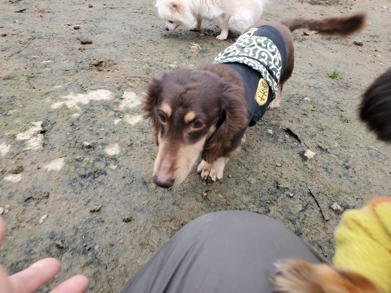 f:id:roukenhome-ann:20191223071845j:plain f:id:roukenhome-ann:20191223071845j:plain