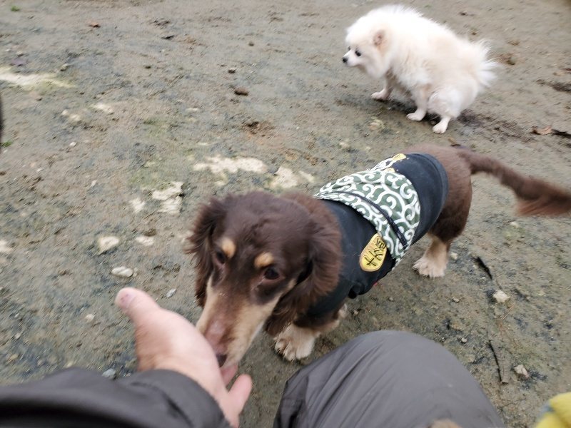 f:id:roukenhome-ann:20191223071852j:plain f:id:roukenhome-ann:20191223071852j:plain