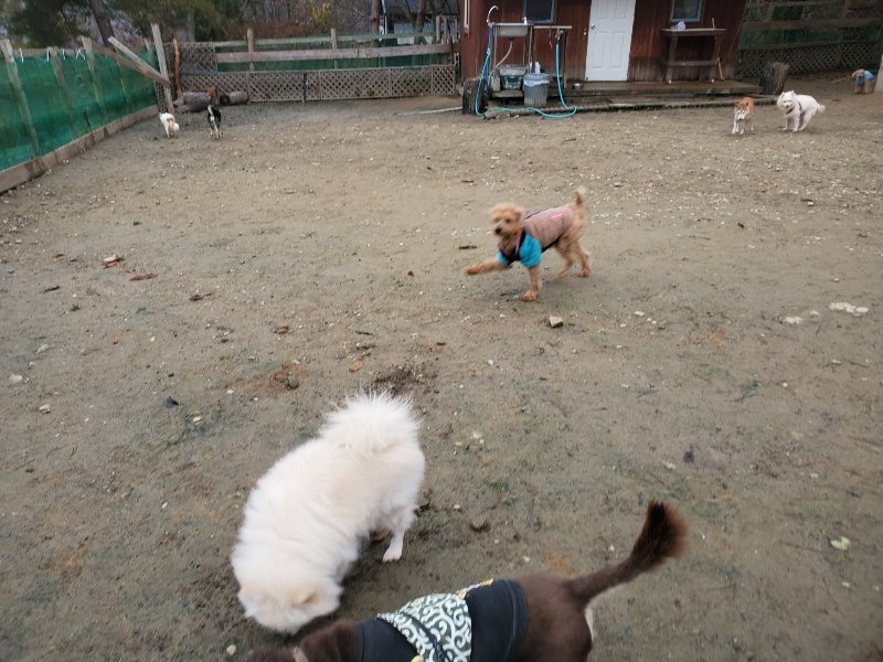 f:id:roukenhome-ann:20191223071858j:plain f:id:roukenhome-ann:20191223071858j:plain