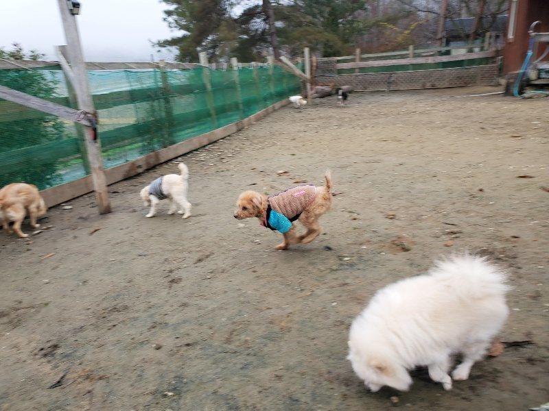 f:id:roukenhome-ann:20191223071907j:plain f:id:roukenhome-ann:20191223071907j:plain